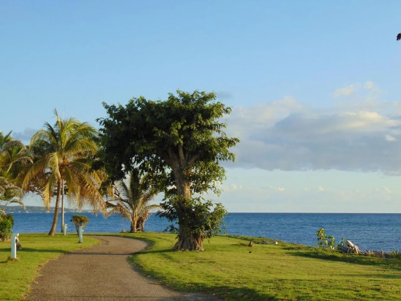 Casa Mire-Lee, Seaside Serenity At Negril 7 Miles Beach, Point Village Apartment